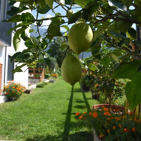דירות קוליקו Il Giardino Dei Ciliegi מראה חיצוני תמונה
