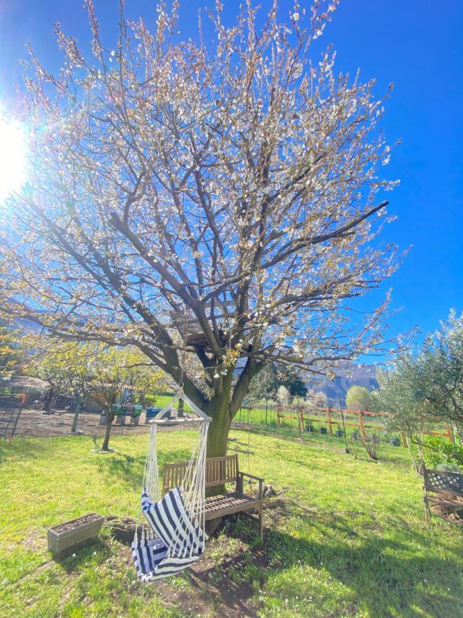 דירות קוליקו Il Giardino Dei Ciliegi מראה חיצוני תמונה