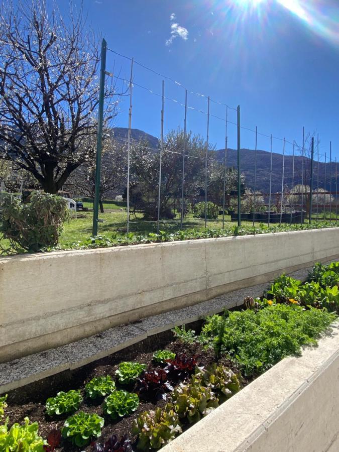 דירות קוליקו Il Giardino Dei Ciliegi מראה חיצוני תמונה