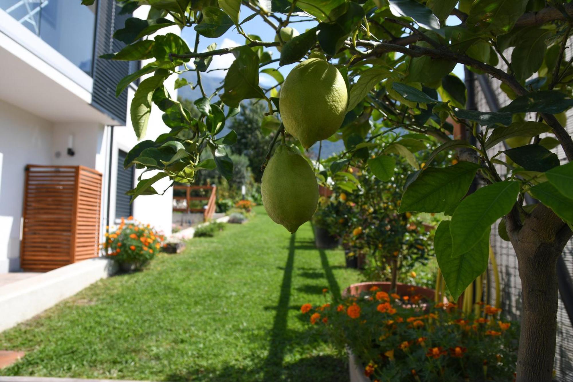 דירות קוליקו Il Giardino Dei Ciliegi מראה חיצוני תמונה