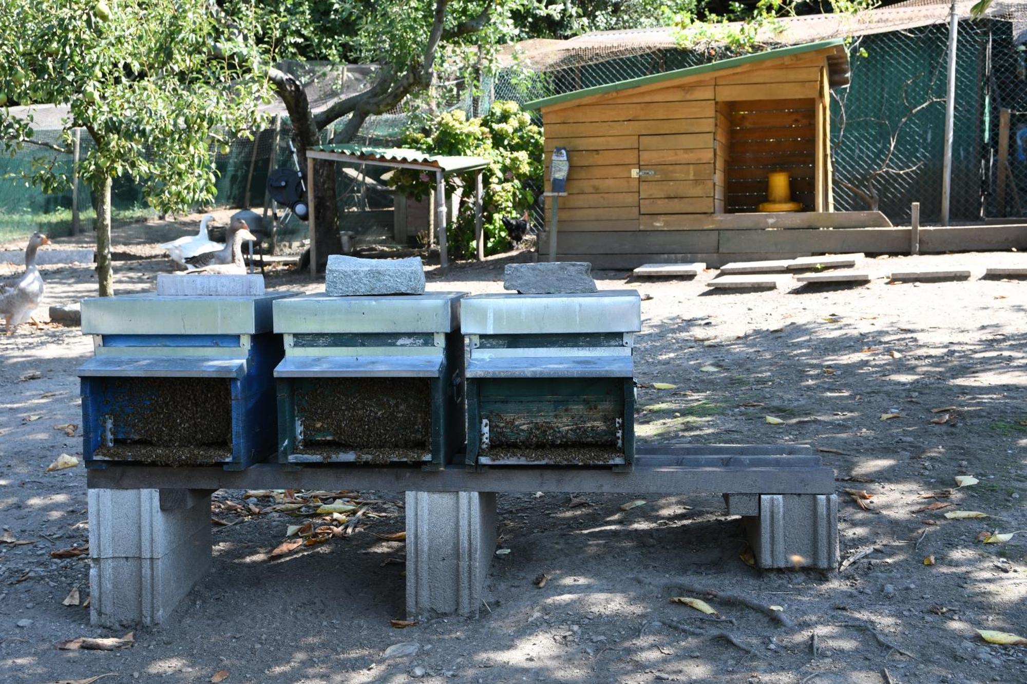 דירות קוליקו Il Giardino Dei Ciliegi מראה חיצוני תמונה