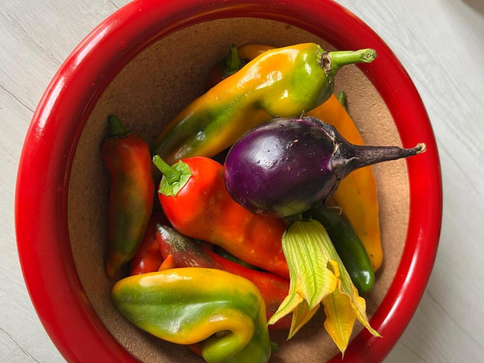 דירות קוליקו Il Giardino Dei Ciliegi מראה חיצוני תמונה