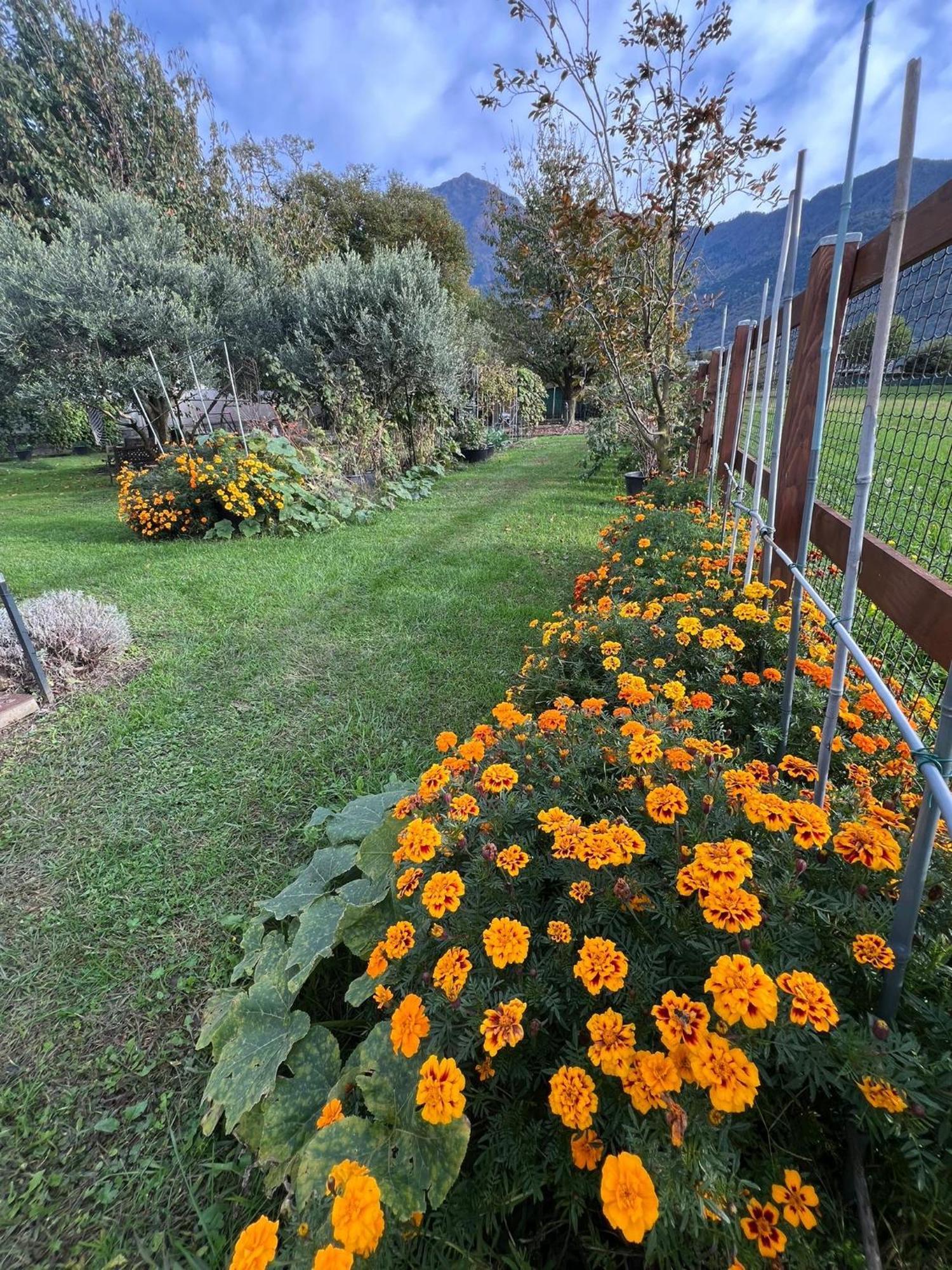 דירות קוליקו Il Giardino Dei Ciliegi מראה חיצוני תמונה